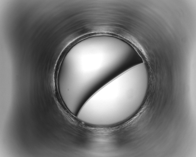 X0000096670980200802051006