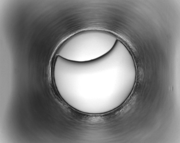 X0000096670982200802051006