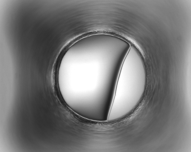 X0000096670983200802051006