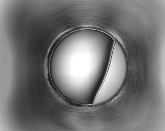 X0000096670984200802051006
