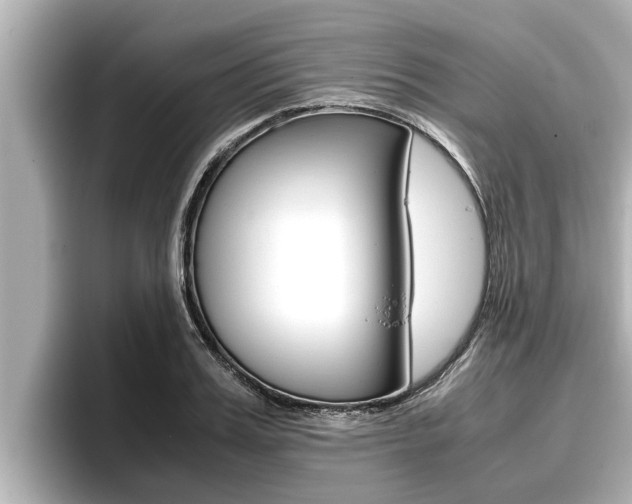 X0000096670987200802051006