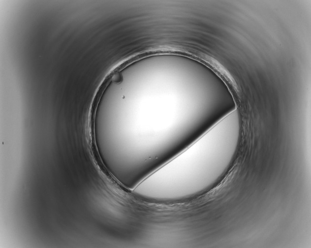 X0000096670988200802051006