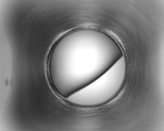 X0000096670989200802051006