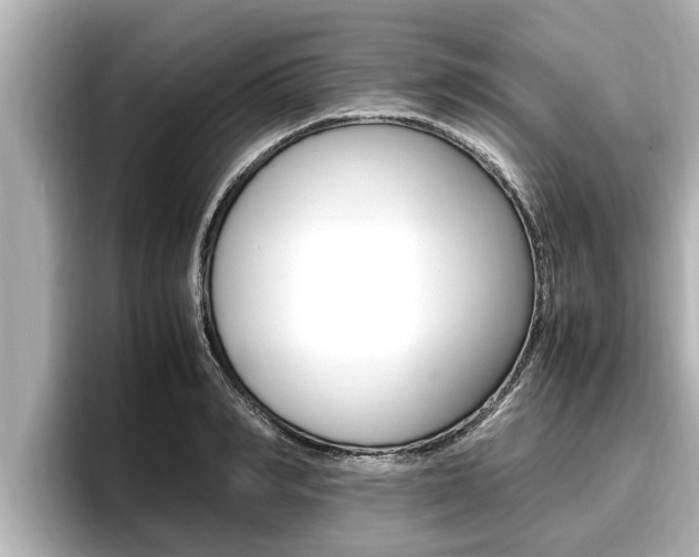 X0000096670990200802051006