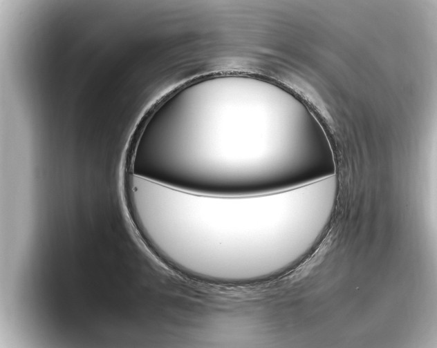 X0000096670991200802051006