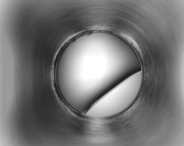 X0000096670992200802051006