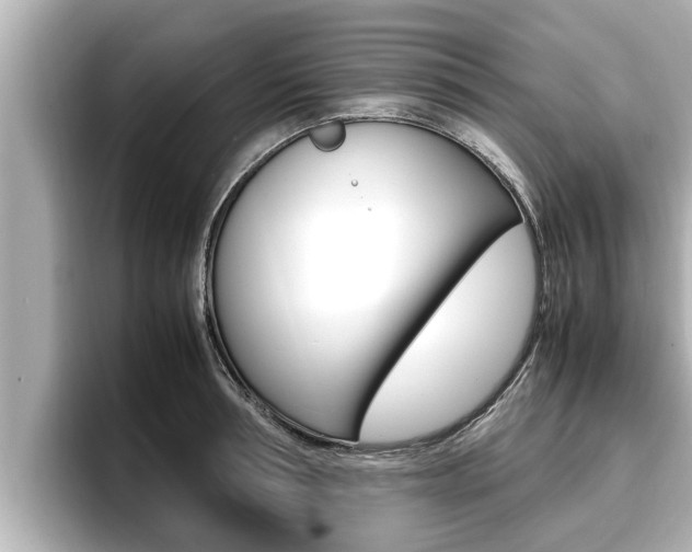 X0000096670994200802051006