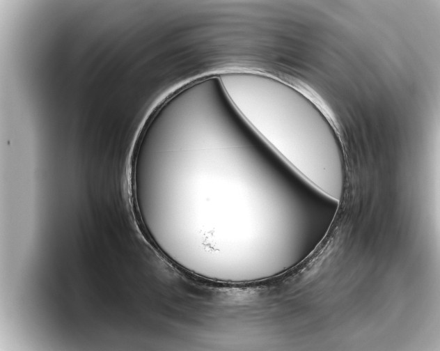 X0000096670996200802051006