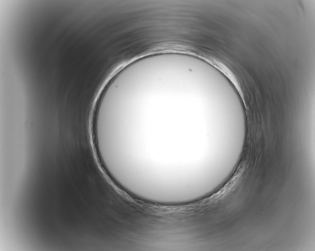 X0000096670997200802051006