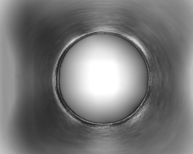 X0000096670999200802051006