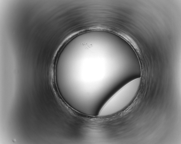 X0000096671000200802051006