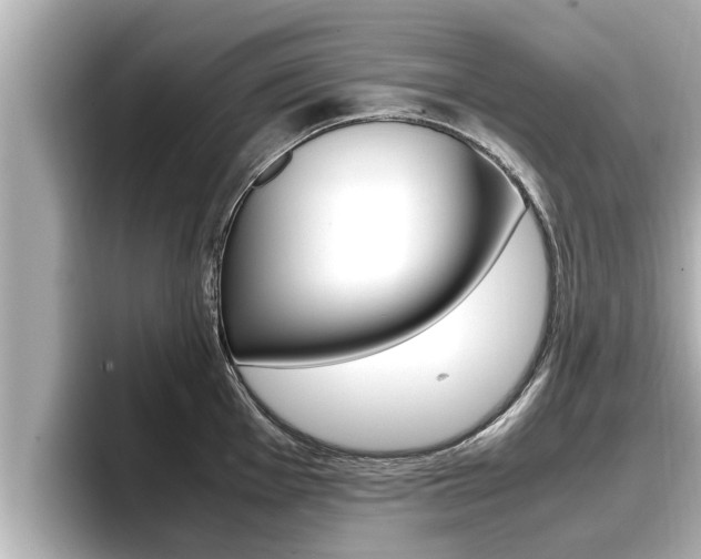 X0000096671001200802051006