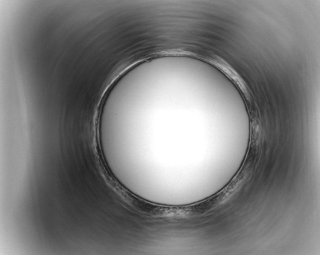 X0000096671002200802051006