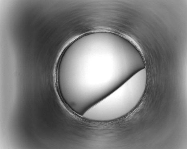 X0000096671003200802051006