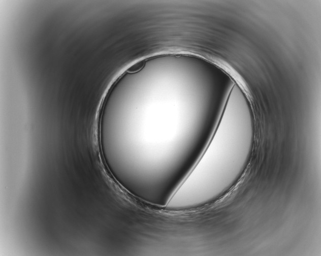 X0000096671004200802051006