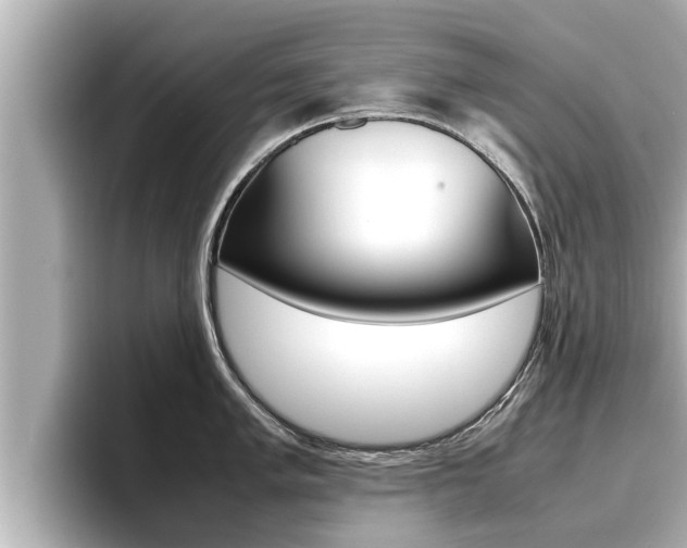 X0000096671005200802051006