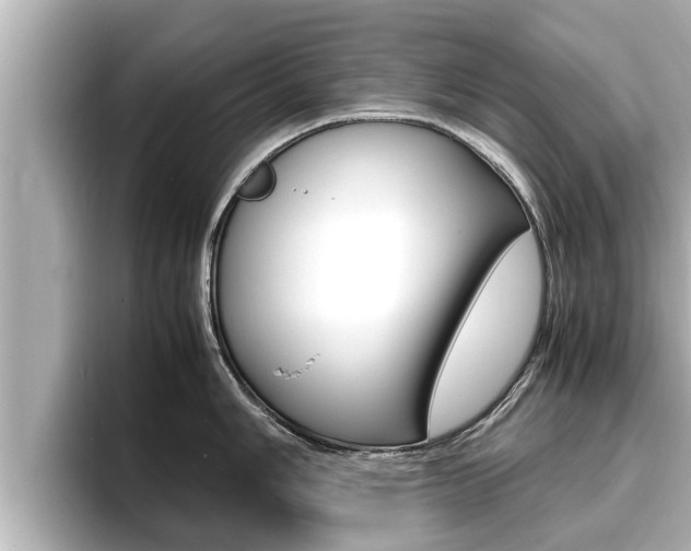 X0000096671006200802051006