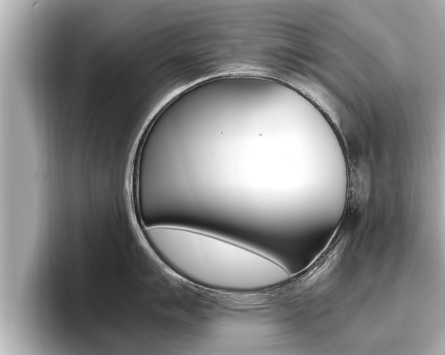 X0000096671007200802051006