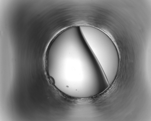 X0000096671008200802051006