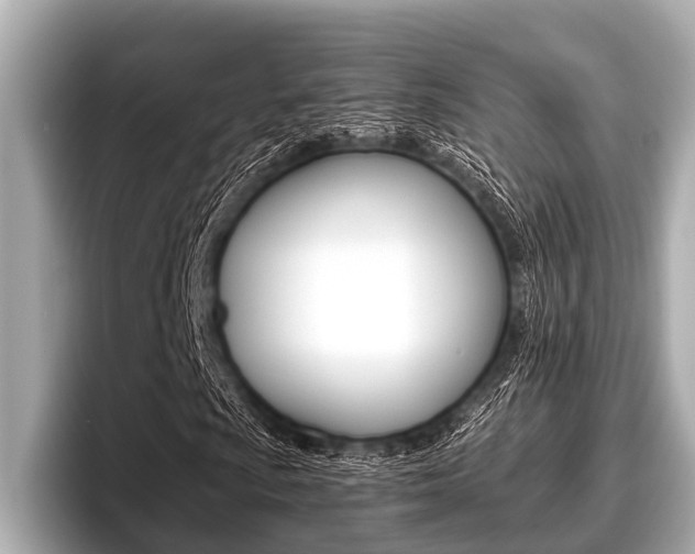 X0000096671009200802051005
