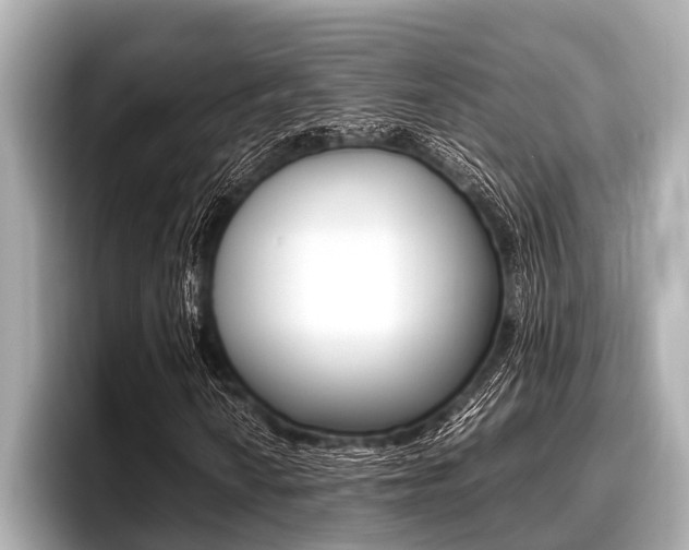 X0000096671010200802051005