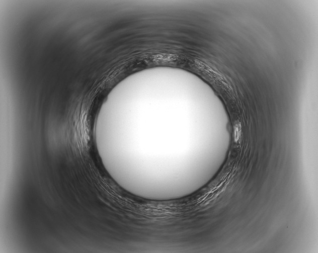 X0000096671011200802051005