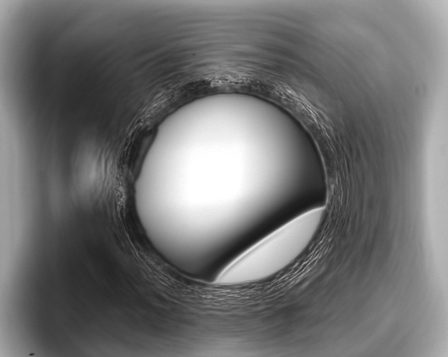 X0000096671012200802051005