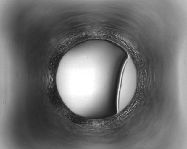 X0000096671013200802051005