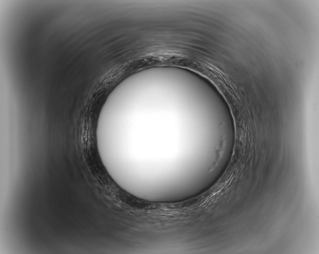 X0000096671014200802051005