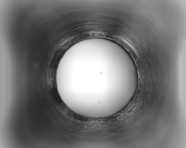 X0000096671015200802051005