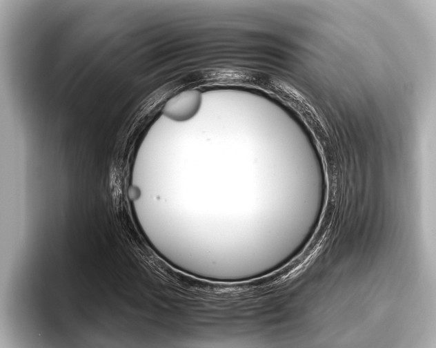 X0000096671017200802051005