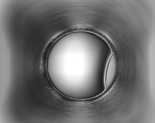 X0000096671018200802051005