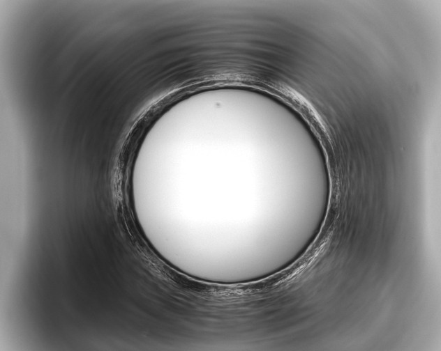 X0000096671019200802051005