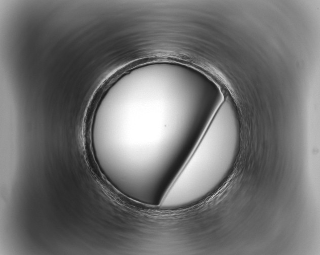 X0000096671020200802051005