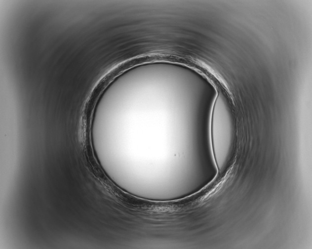 X0000096671021200802051005