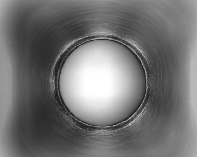 X0000096671022200802051005