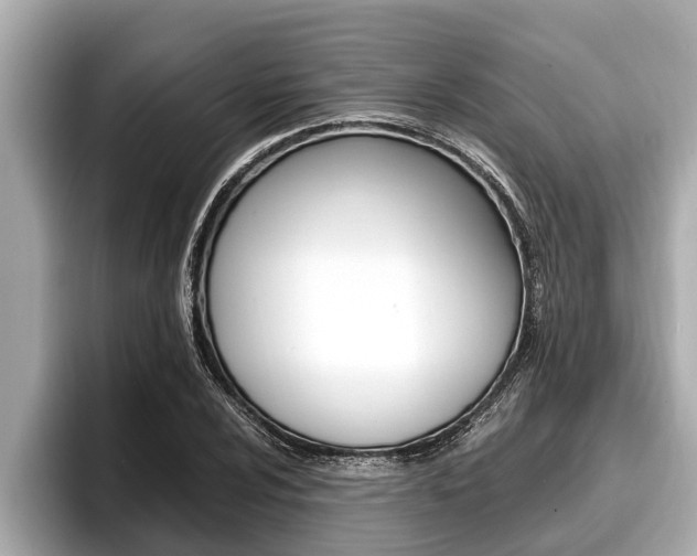 X0000096671024200802051005