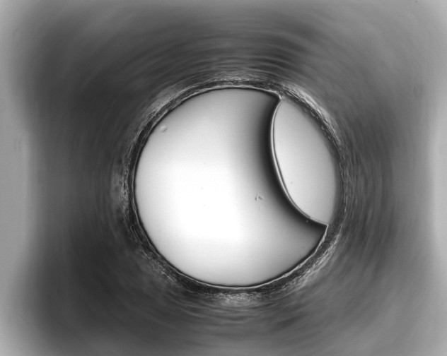 X0000096671025200802051005
