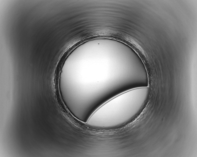 X0000096671026200802051005