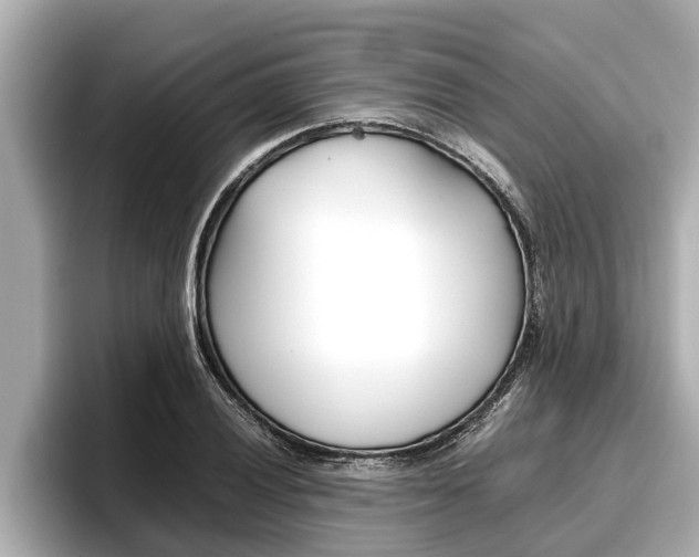 X0000096671028200802051006