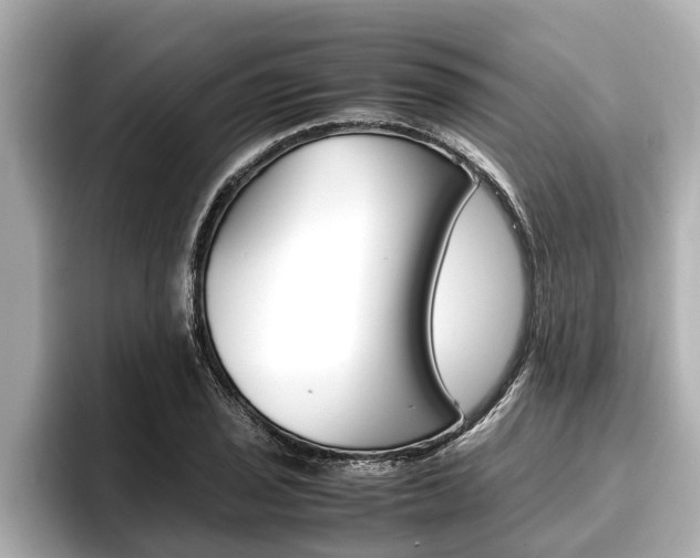 X0000096671029200802051006