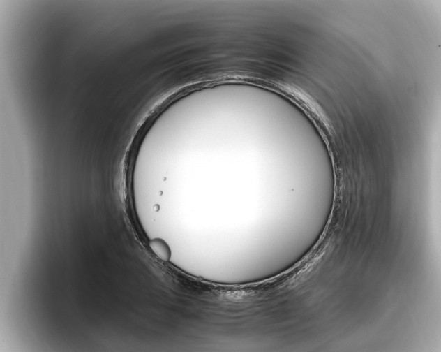 X0000096671031200802051006