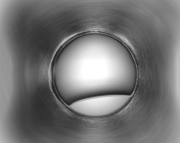 X0000096671032200802051006