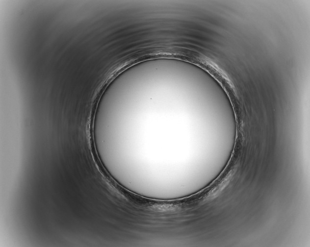 X0000096671033200802051006
