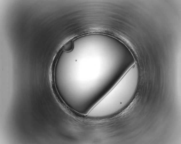 X0000096671034200802051006