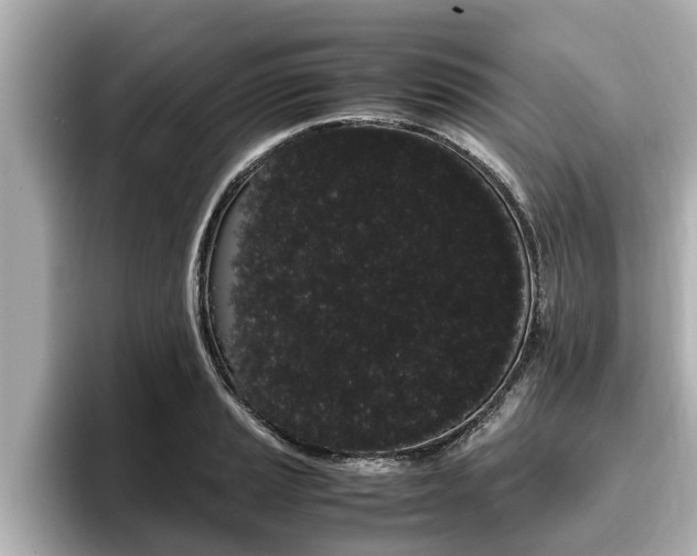X0000096671037200802051006