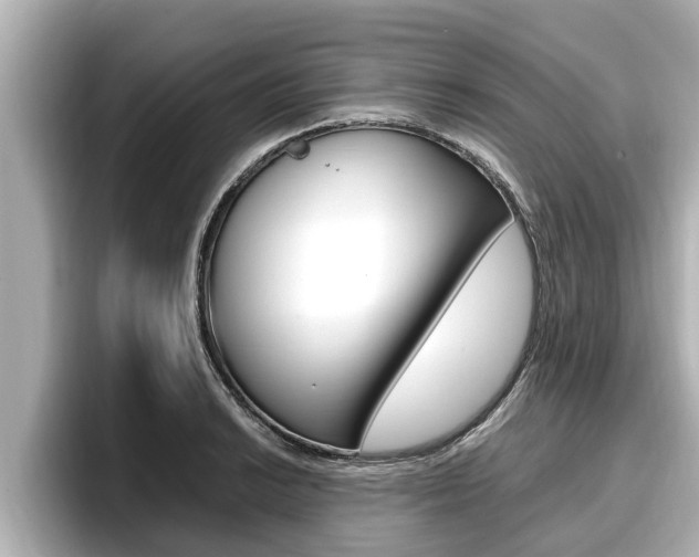X0000096671038200802051006