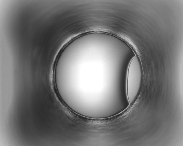 X0000096671040200802051006