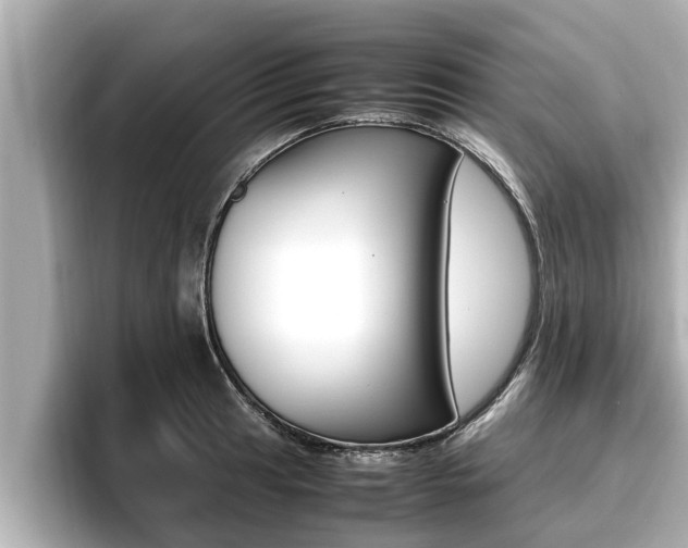 X0000096671041200802051006