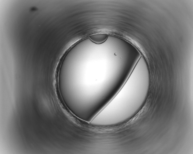 X0000096671042200802051006